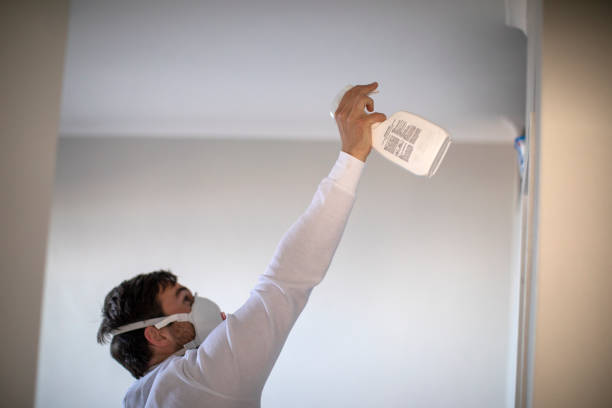 Best Emergency Mold Removal  in Great Notch, NJ
