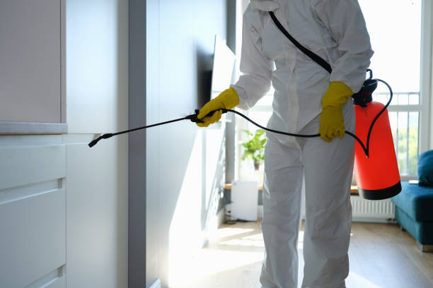 Mold Removal Process in Great Notch, NJ