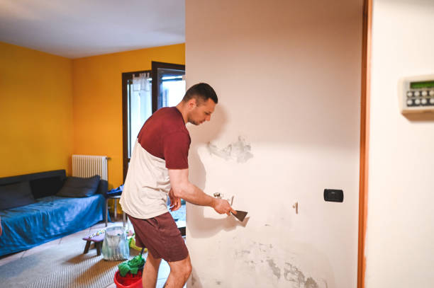 Best Fast Mold Removal  in Great Notch, NJ