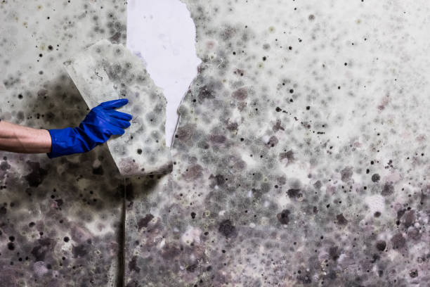 Water Damage Restoration in Great Notch, NJ